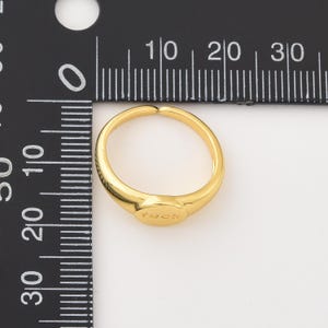 Goudgevulde verstelbare statementring, vetgedrukte gegraveerde woordring, grappige minimalistische zegelring voor edgy cadeau of zelfexpressie, RG233