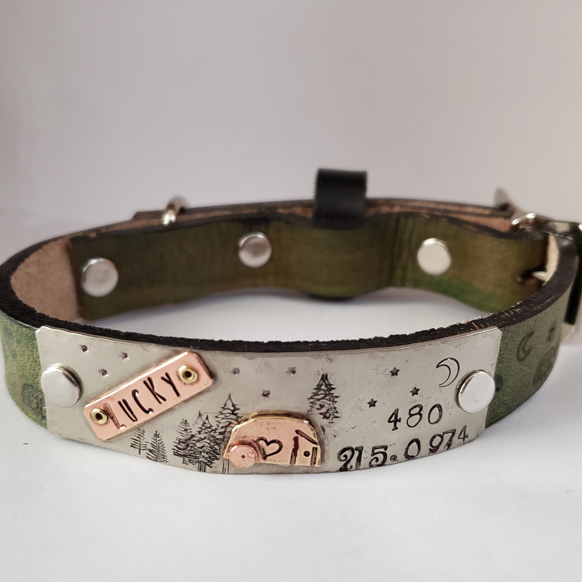dog collar medium size