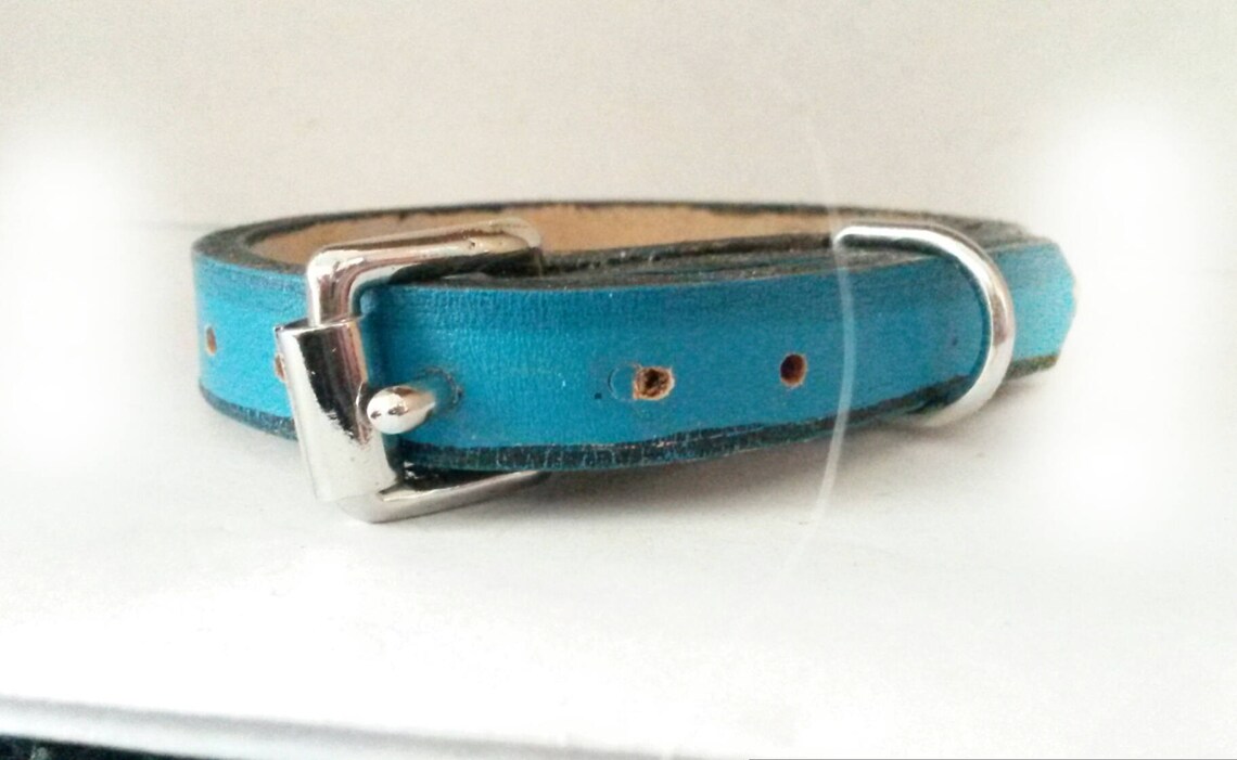 Outdoor Themed Dog Collar Etsy