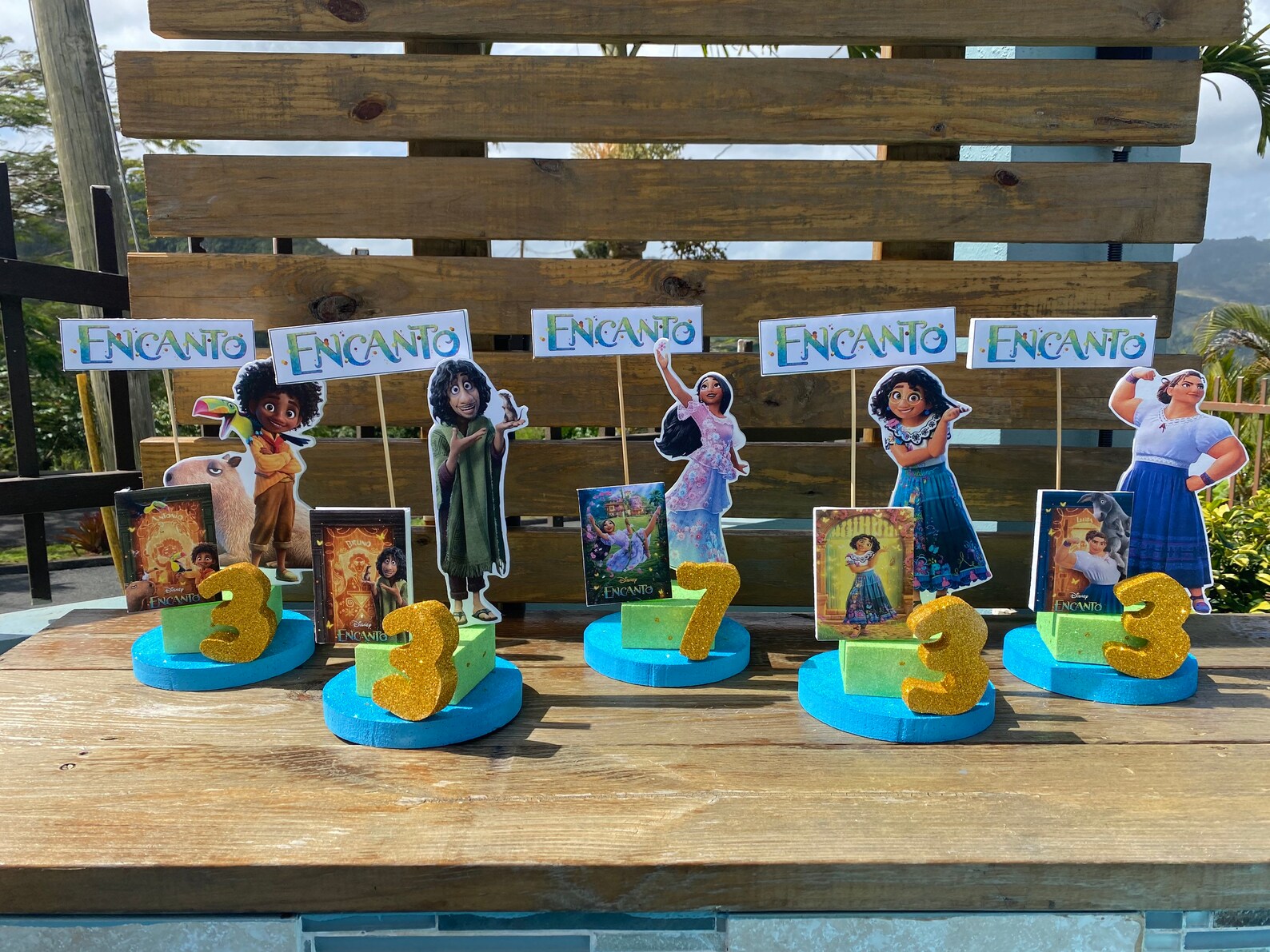 Encanto Centerpieces Etsy