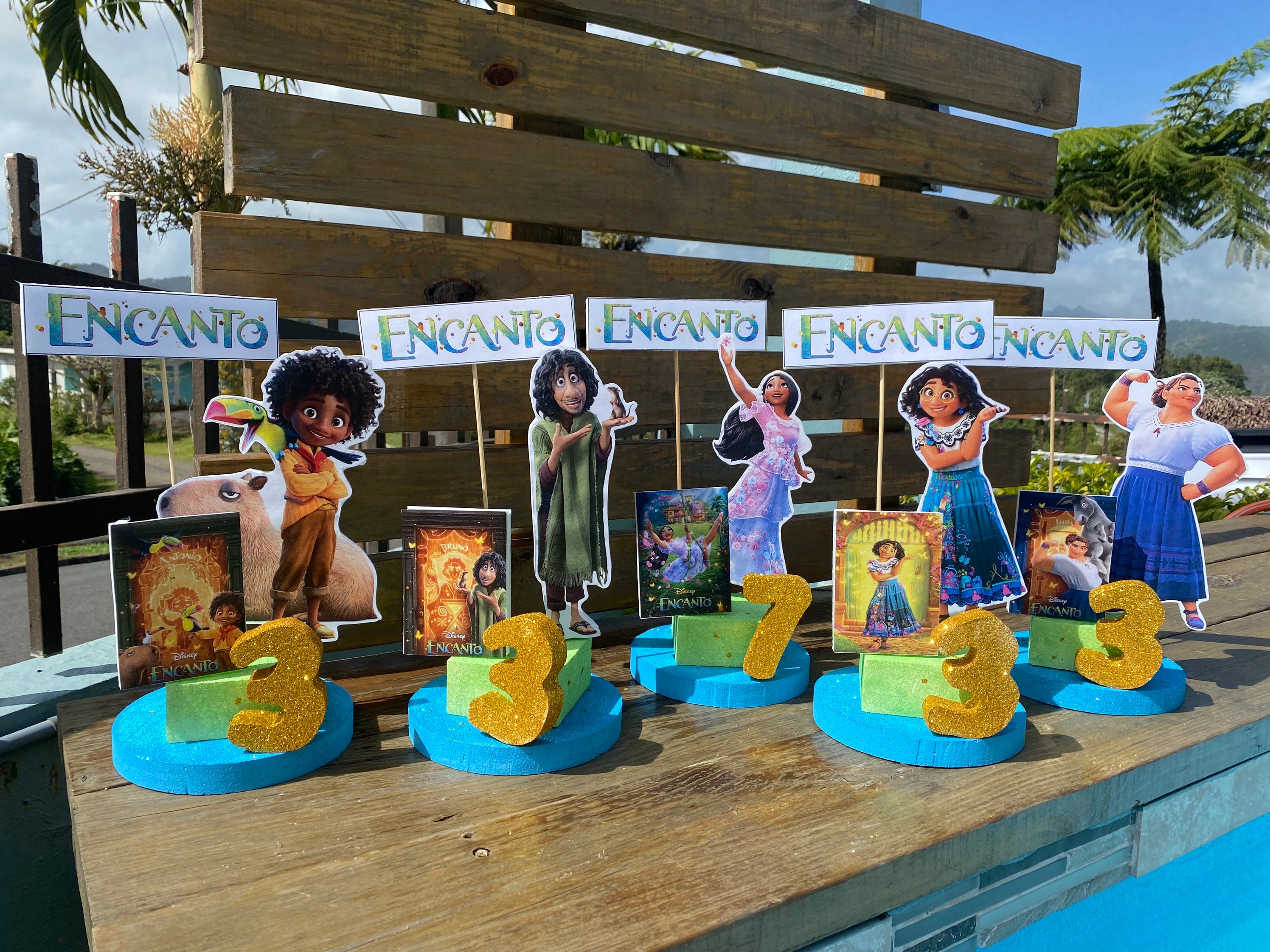 Encanto Centerpieces Etsy