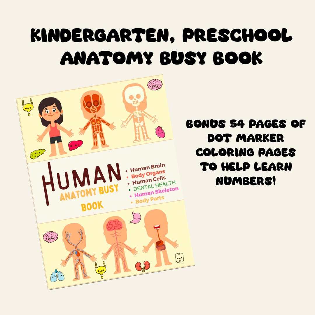 Human Anatomy Busy Book | Printable Preschool Worksheets, Homeschool ...