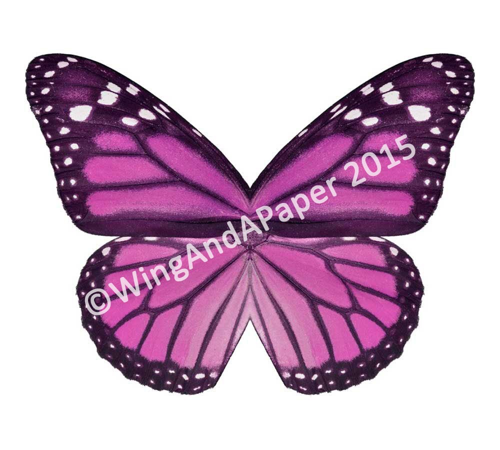 Printable Butterfly Costume Wings for Kids - Etsy