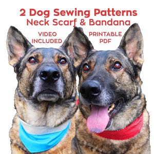 Ensemble PDF de patrons de couture bandana et foulard pour chien avec tutoriel vidéo - DIY cadeau pour animal de compagnie