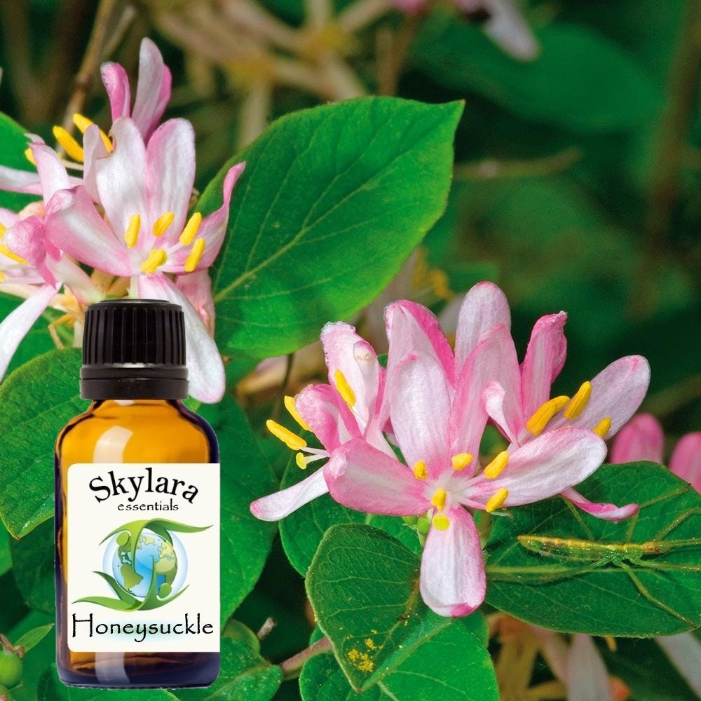 Organic Honeysuckle Essential Oil - FREE SHIPPING