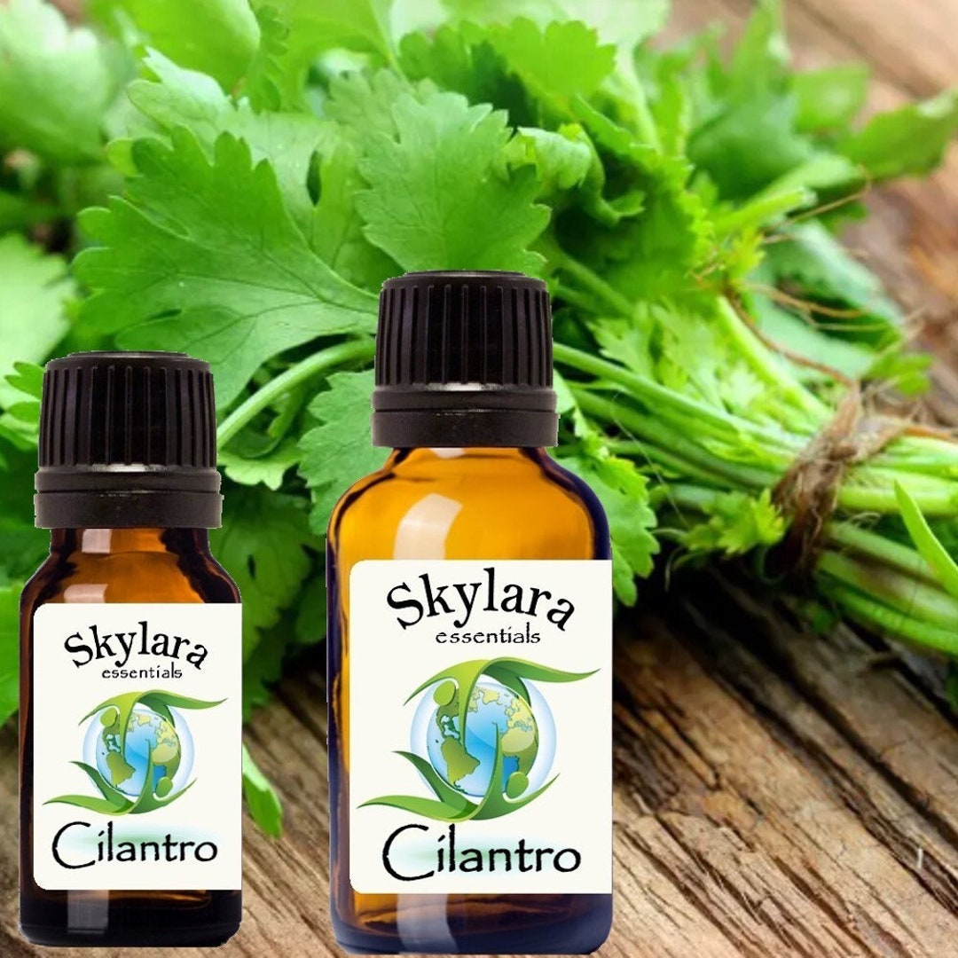 Cilantro Essential Oil 100 Pure and Therapeutic Grade FREE Etsy