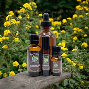 Organic Helichrysum Essential Oil - Free Shipping