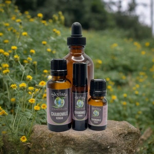 Organic Roman Chamomile Essential Oil: Calming Aromatherapy