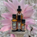 Organic Lotus Essential Oil: Exotic Floral Aroma