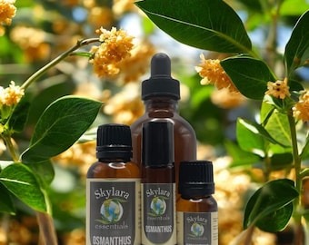May include: Three amber glass bottles of Skylara Essentials Osmanthus oil. The bottles feature black caps, with one dropper bottle and two smaller bottles, one of which is a rollerball. Each label displays the brand name and Osmanthus text.