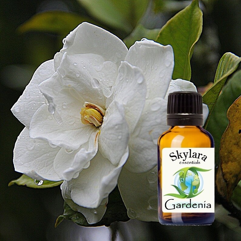 Organic Gardenia Essential Oil FREE SHIPPING Etsy