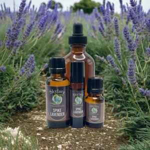 Organic Spike Lavender Essential Oil – 100% Pure and Therapeutic Grade