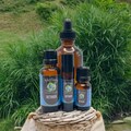 Organic Vetiver Essential Oil: Calming Aromatherapy