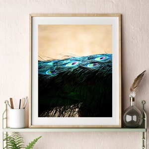 Peacock Feather Photo Instant Download Bird Wall Art Print