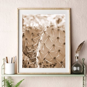 Cactus Wall Art Photo, Printable Southwestern Desert Decor, Instant Digital Download