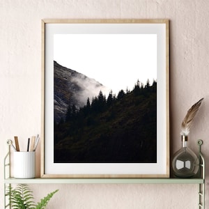 Forest Clouds Print Digital Download Photography