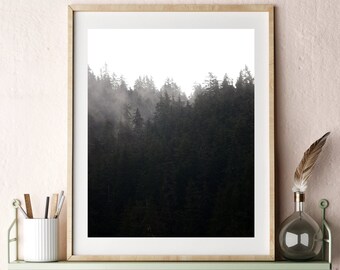 Trees Clouds Print Downloadable Photo