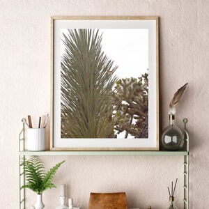 Cacti Cactus Flower Desert Wall Art, Printable Boho Bohemian Decor, Downloadable Photography