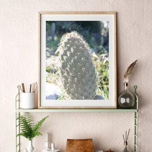 Cactus Photo Wall Art, Printable Desert Nature Decor, Downloadable Photography