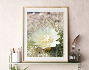 Cacti Cactus Flower Wall Art, Printable Boho Southwest Decor, Downloadable Photography