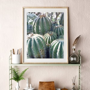 Cactus Photo Desert Wall Art, Printable Nature Decor, Downloadable Photography