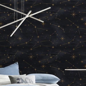 Space Constellations Repositionable Wallpaper, Peel & Stick Fabric Wallpaper, Cosmos Self Adhesive Fabric Wallpaper, Removable Wallpaper #83