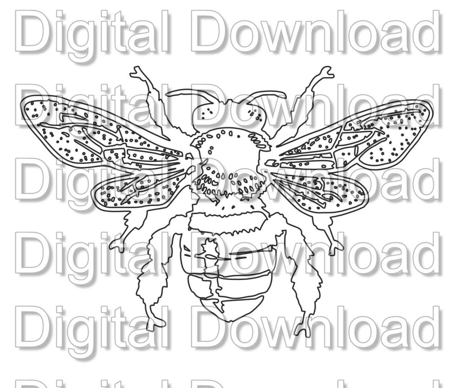 Honey Bee DXF SVG PNG Cut File and Clip Art File Etsy