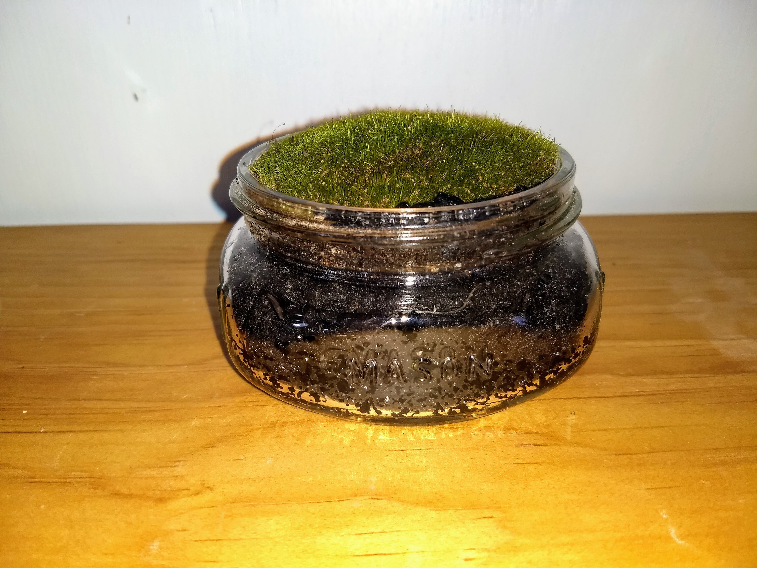Moss Jar Etsy