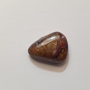 May include: A polished, teardrop-shaped stone with a mottled pattern of brown, red, and tan hues. The surface has a glossy finish, and the stone appears to be smooth to the touch. The stone is a natural, earthy item.
