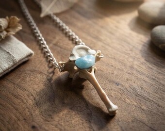 Raccoon Vertebrae Bone and Amazonite Necklace, Real Bone Jewelry, Oddity and Curiosity, Witchcraft, Dark Academia Gift, Goblincore