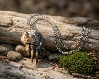 Collier pied de tortue serpentine momifié, vrais bijoux de taxidermie