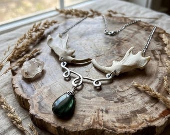 Collier mâchoire de rat musqué avec labradorite, bijoux en os et cristal, bizarreries et curiosités