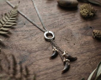 Collier pendentif griffe de coyote, bijoux en os véritables, bizarrerie et curiosité