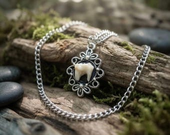 Raccoon Tooth Necklace