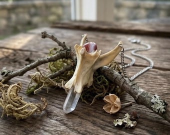 Collier vertèbres de coyote et cristal, bijoux en os véritable
