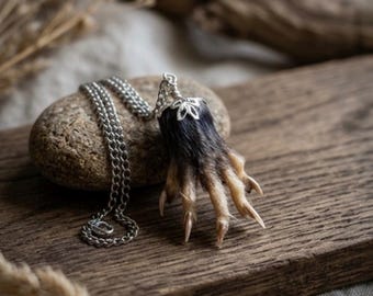 Mummified Opossum Paw Necklace