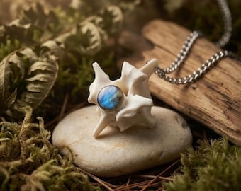 Collier vertèbres de serpent et labradorite, bijoux en os véritable, bizarrerie et curiosité