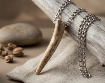 Collier pointe de bois de cerf, bijoux étranges et de curiosité