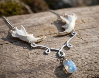 Collier mâchoire de rat musqué avec pierre de lune arc-en-ciel, bijoux en os véritable