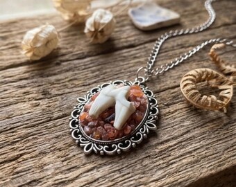 Collier en dent de coyote et cornaline, bijoux en os et en cristal, bizarreries et curiosités