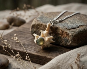 Collier en os de vertèbres de serpent avec labradorite, bijoux en os et cristal, bizarreries et curiosités