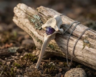 Collier vertèbres de coyote, améthyste, bijoux en os véritable