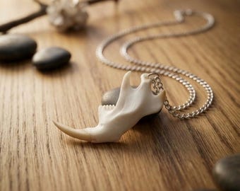 Muskrat Jaw Bone Necklace, Rainbow Moonstone, Real Bone Jewelry