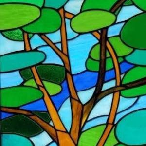 Stained Glass California Cypress