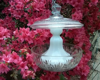 Beautiful Glass Bird Feeder