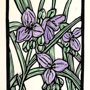 Spiderwort, Linocut Print, Handcolored with Watercolor