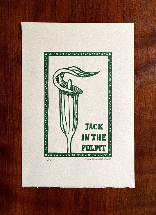 Jack in the Pulpit - Etsy