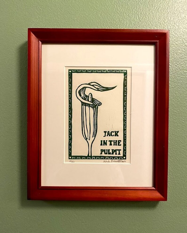 Jack in the Pulpit - Etsy