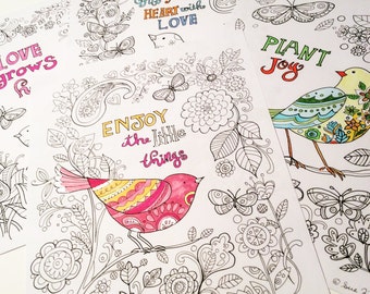 4 páginas inspiradoras para colorir com pássaros, download instantâneo de arquivos PDF
