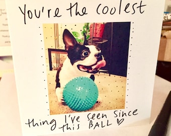 You're the Coolest Thing I've Seen Since This Ball Card, Boston Terrier Love card